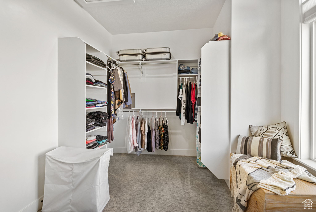 Walk in closet with carpet