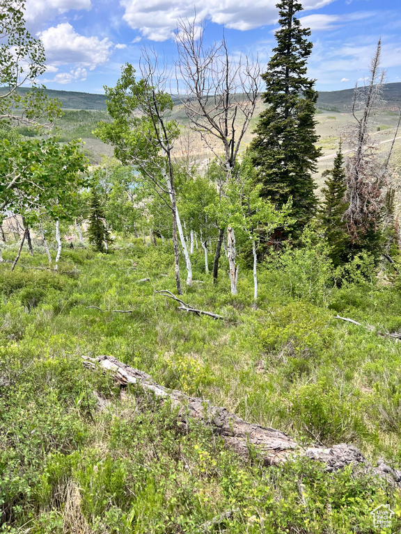 View of nature