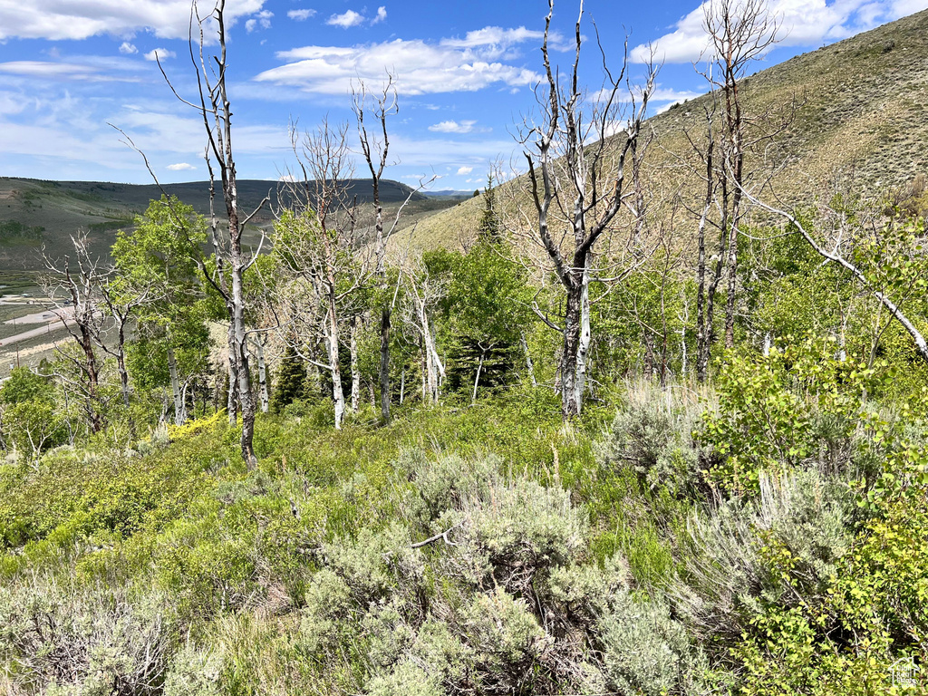 View of mountain backdrop