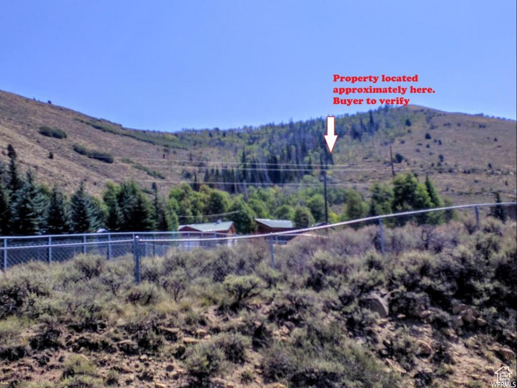 View of mountain feature with a wooded view