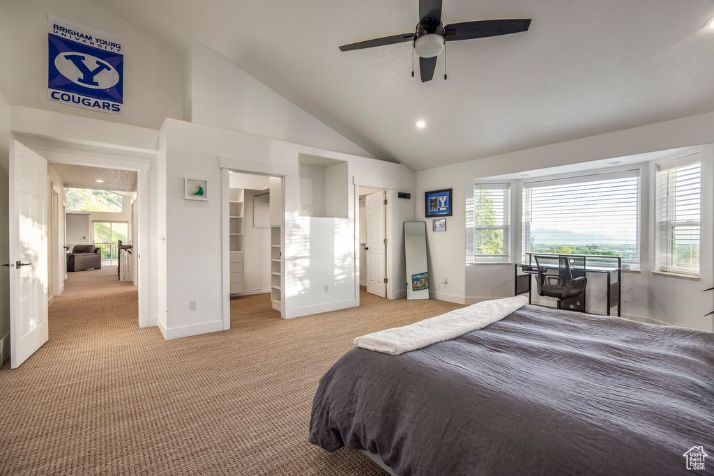 Bedroom with light carpet, a walk in closet, multiple windows, baseboards, and high vaulted ceiling