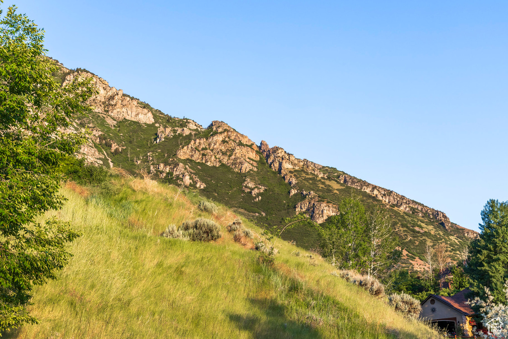 View of mountain background