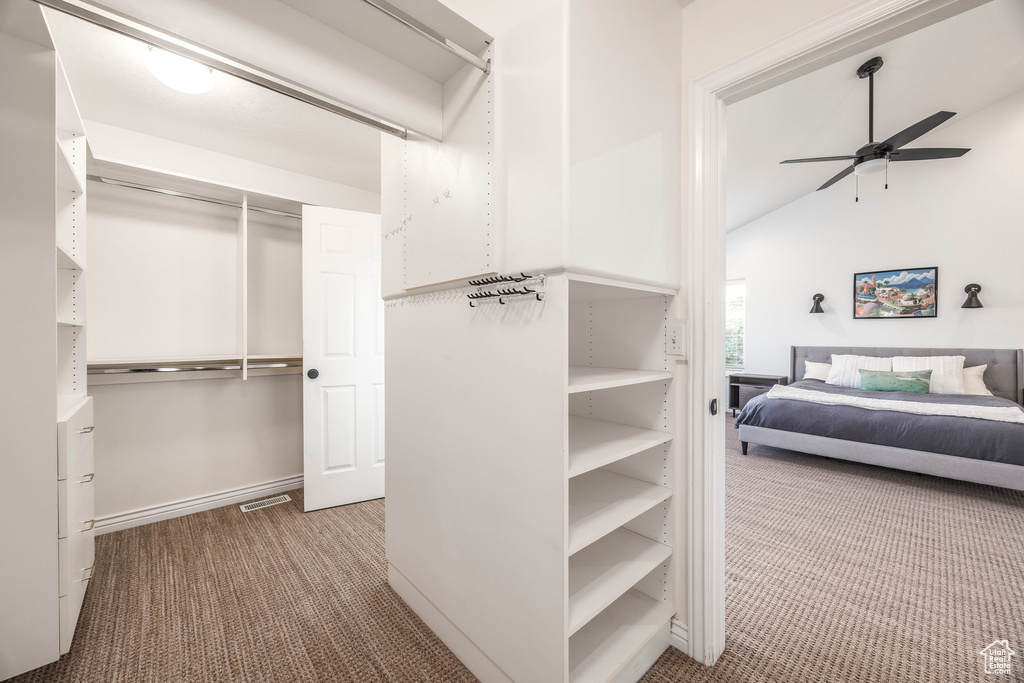 Walk in closet featuring carpet floors, a ceiling fan, and lofted ceiling