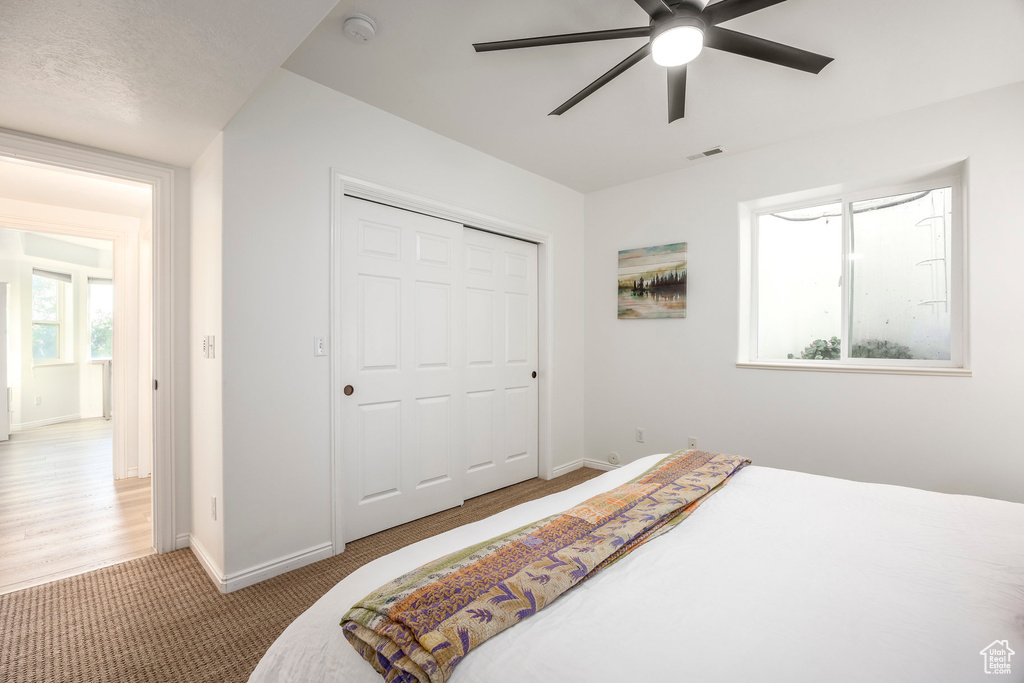 Carpeted bedroom with baseboards, a closet, and ceiling fan