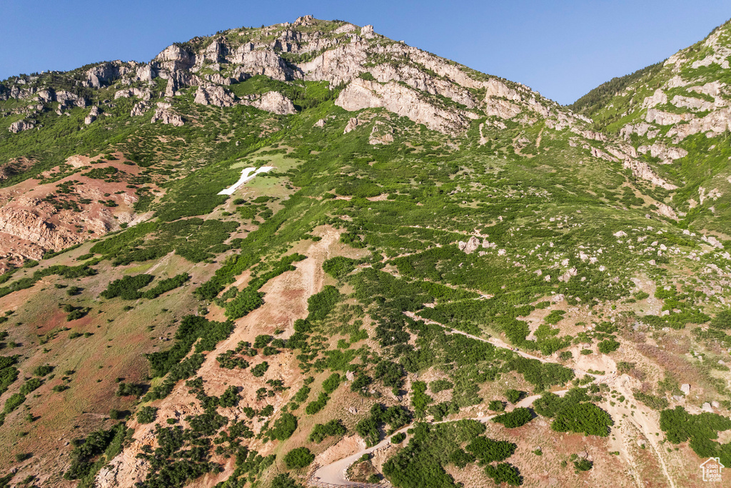 View of mountain background