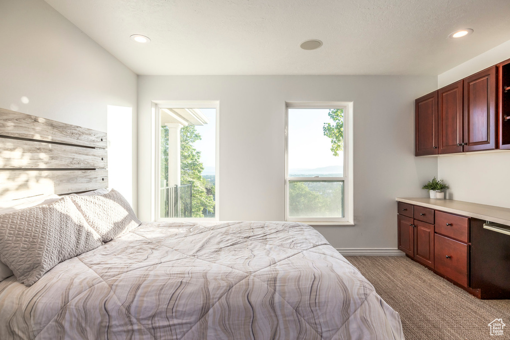 Bedroom with light carpet, multiple windows, recessed lighting, and baseboards