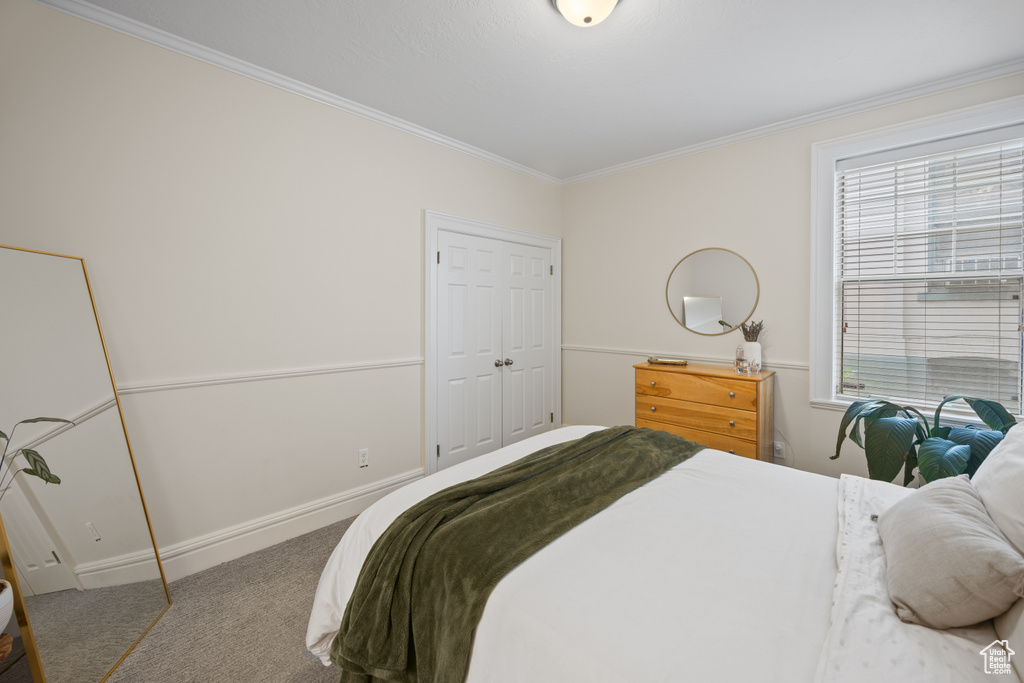 Bedroom featuring carpet floors, ornamental molding, and baseboards