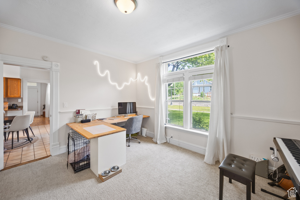 Office area featuring ornamental molding, light colored carpet, and baseboards