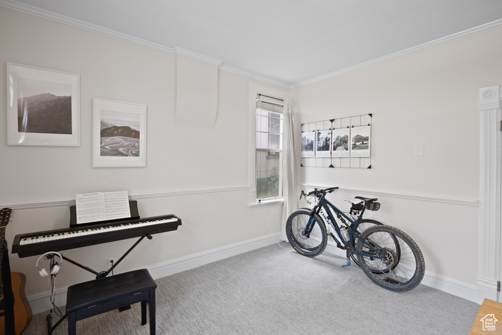 Misc room featuring crown molding, carpet, and baseboards