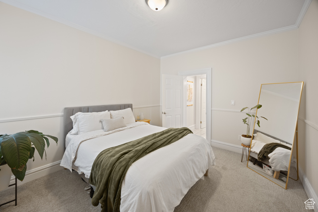 Bedroom with crown molding, carpet floors, and baseboards