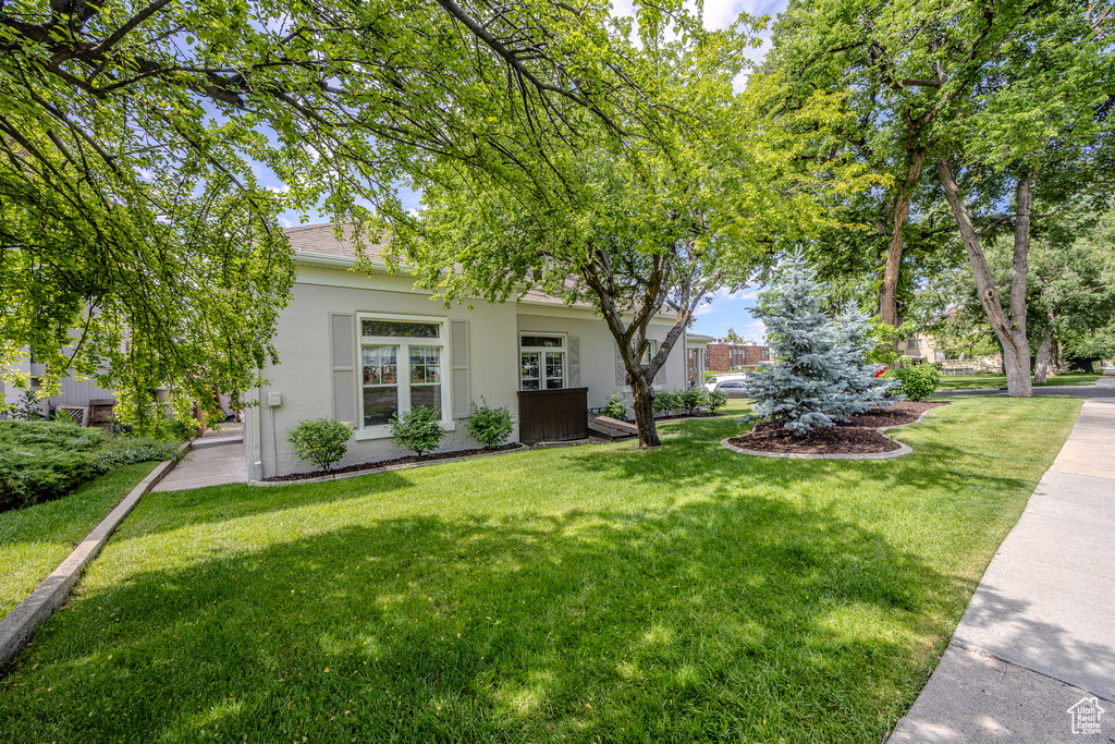 Obstructed view of property with stucco siding, a front yard, and a shingled roof