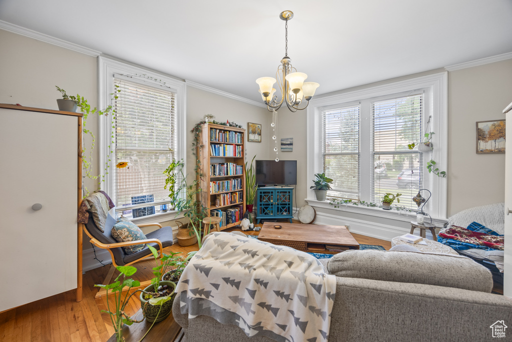 Living room featuring hardwood / wood-style flooring, a chandelier, and crown molding