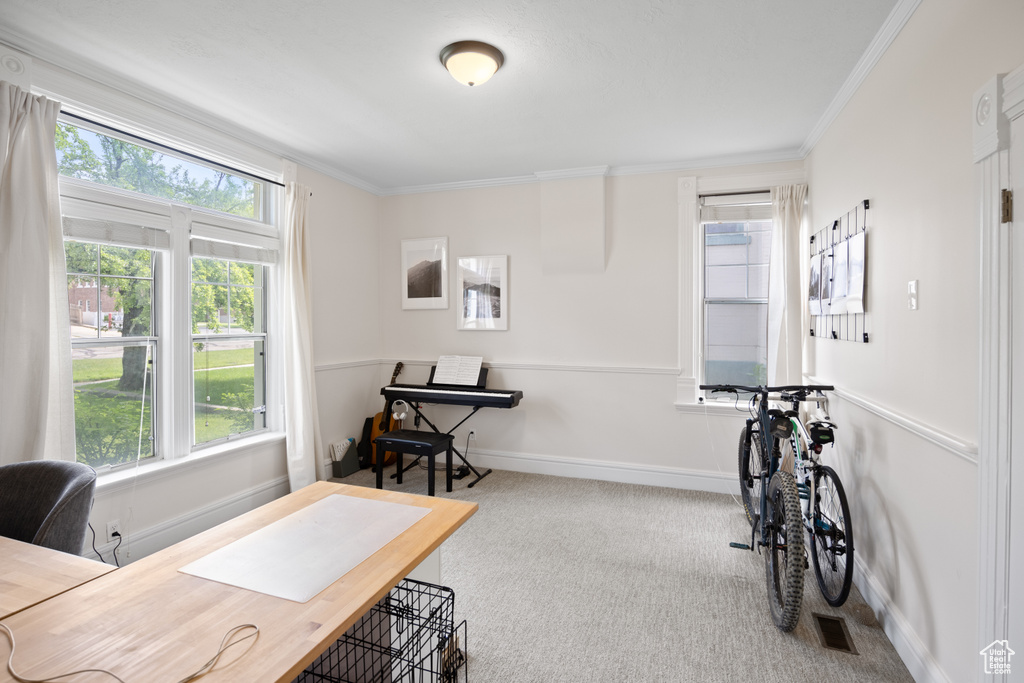 Carpeted home office featuring crown molding and baseboards