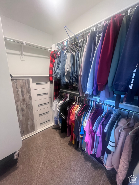 Spacious closet featuring carpet