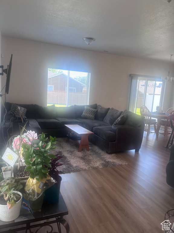 Living area with wood finished floors