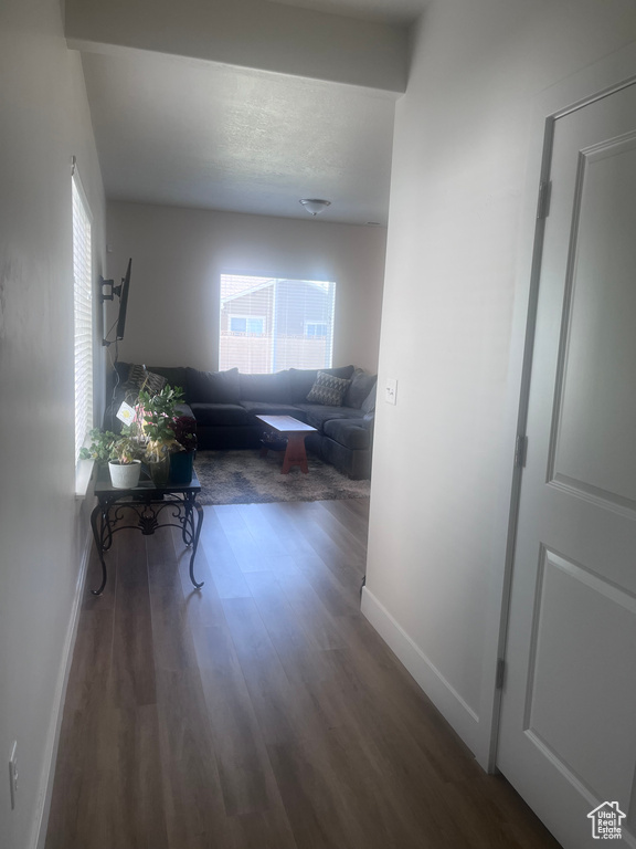 Hall featuring wood finished floors, baseboards, and healthy amount of natural light