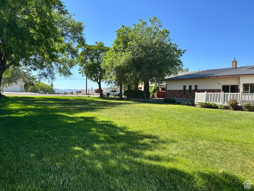 View of green lawn