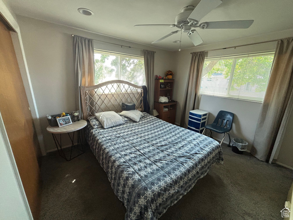 Carpeted bedroom with multiple windows, a ceiling fan, and baseboards