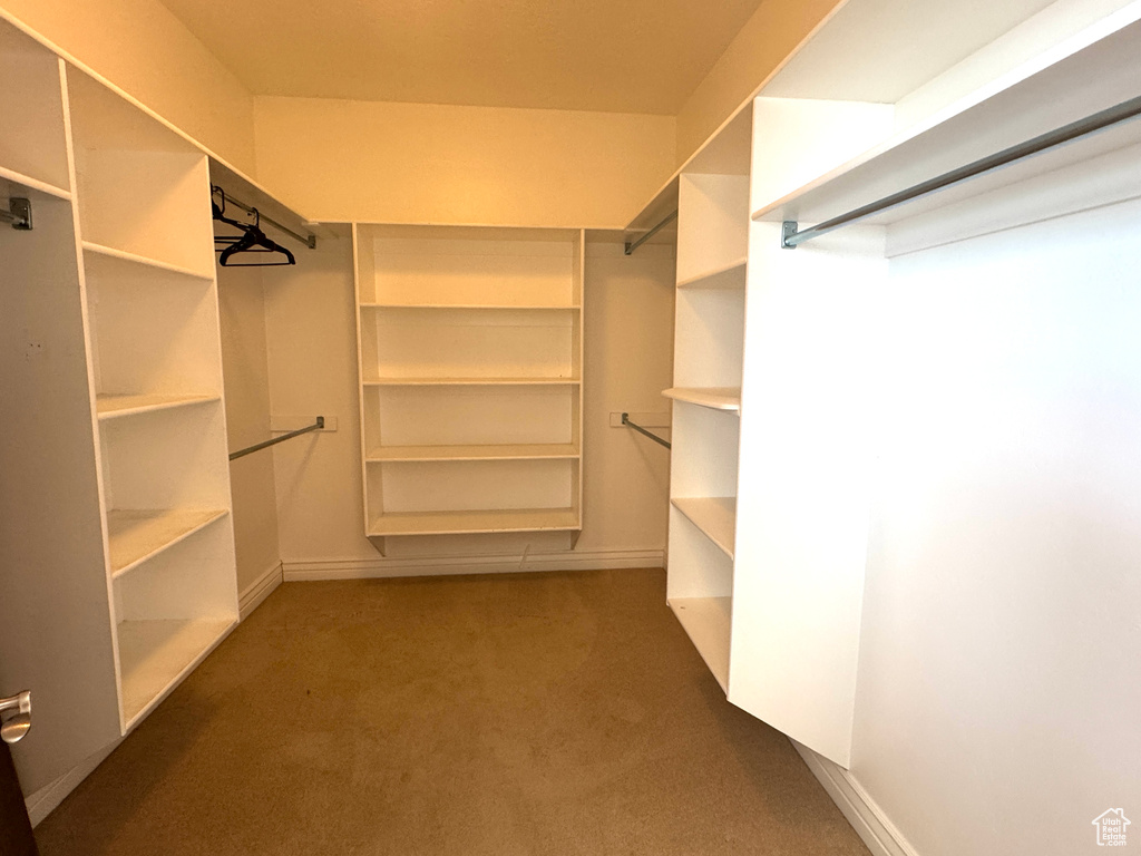 Walk in closet with carpet