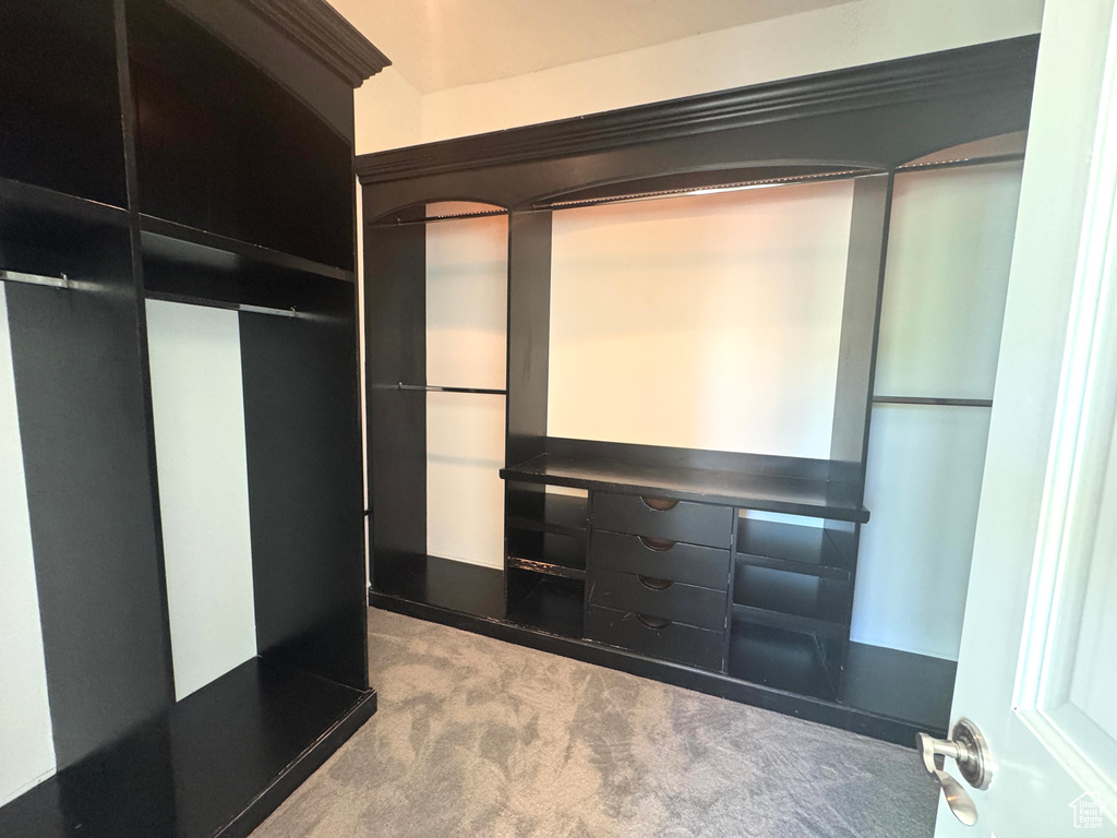 Walk in closet with carpet