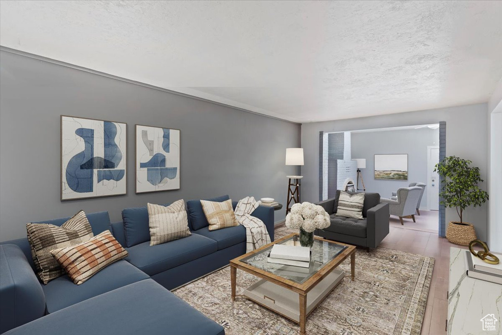 Living room featuring a textured ceiling