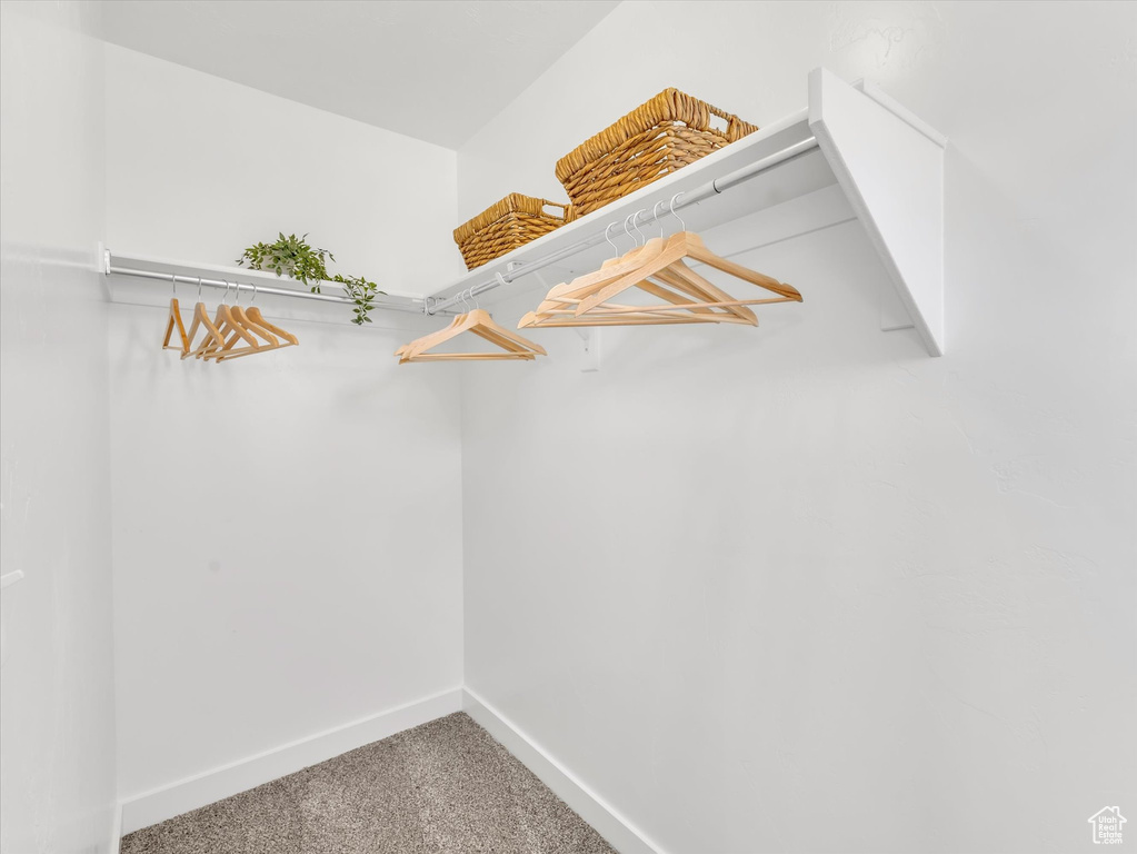 Spacious closet featuring carpet