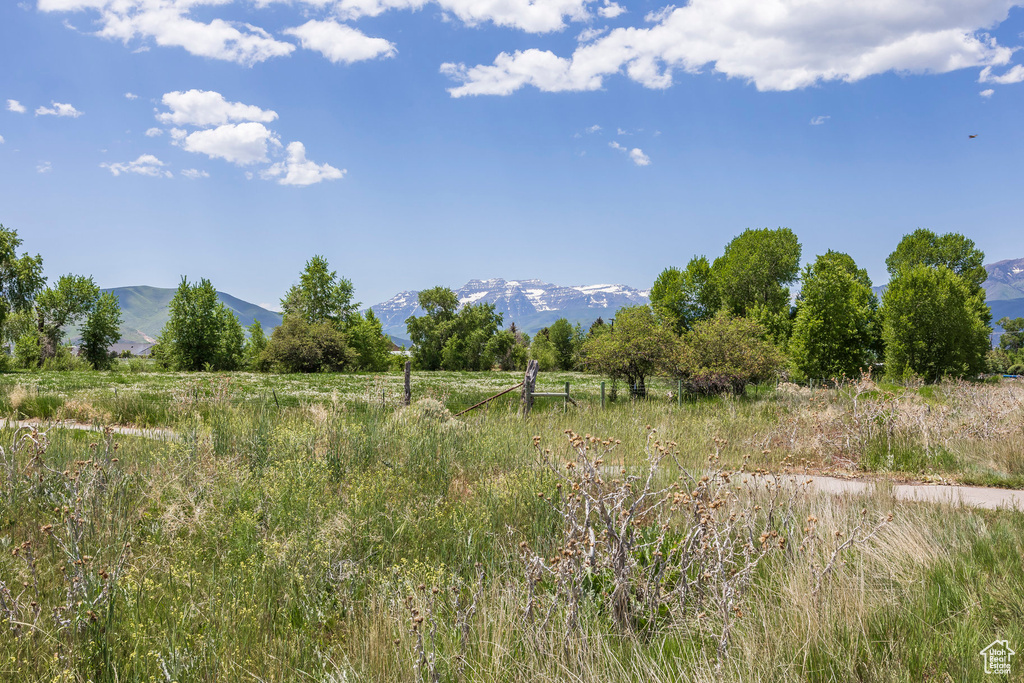 View of yard featuring a mountain view and a view of countryside