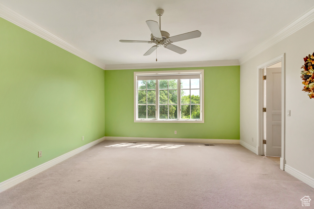 Carpeted empty room featuring ceiling fan and ornamental molding