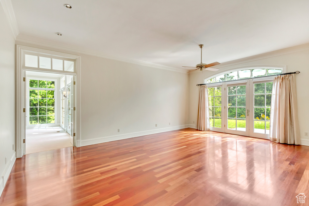 Spare room featuring light wood-type flooring, ornamental molding, and a healthy amount of sunlight