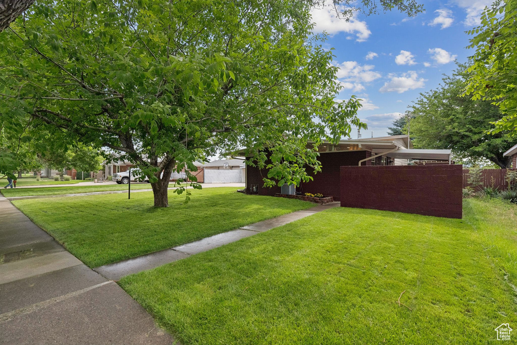 View of yard
