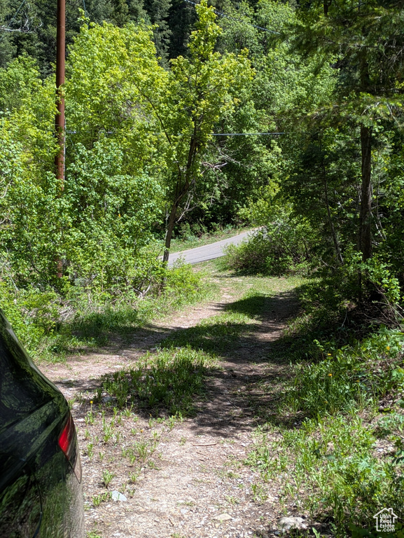 View of road with a view of trees