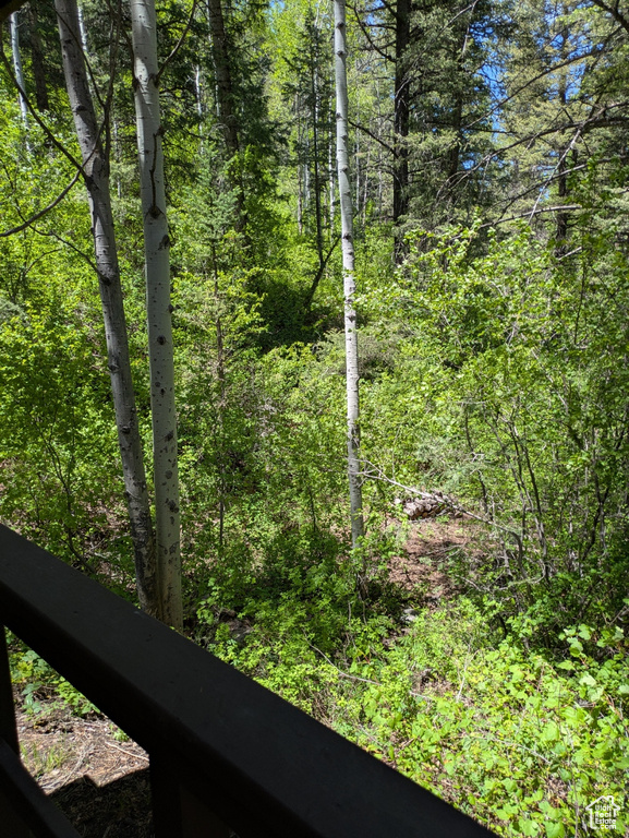 View of woods