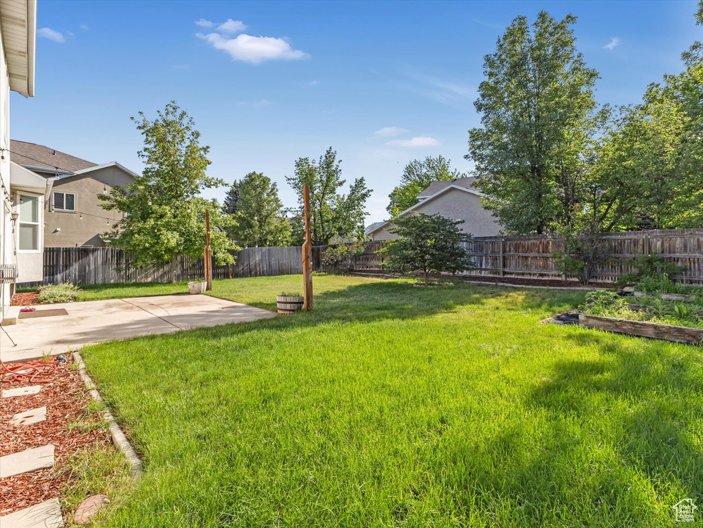 View of yard with a patio area