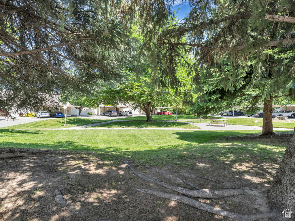 View of green lawn