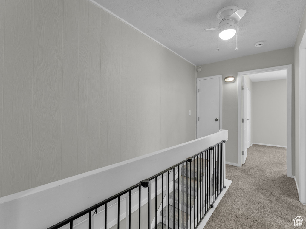 Hallway featuring carpet floors and baseboards