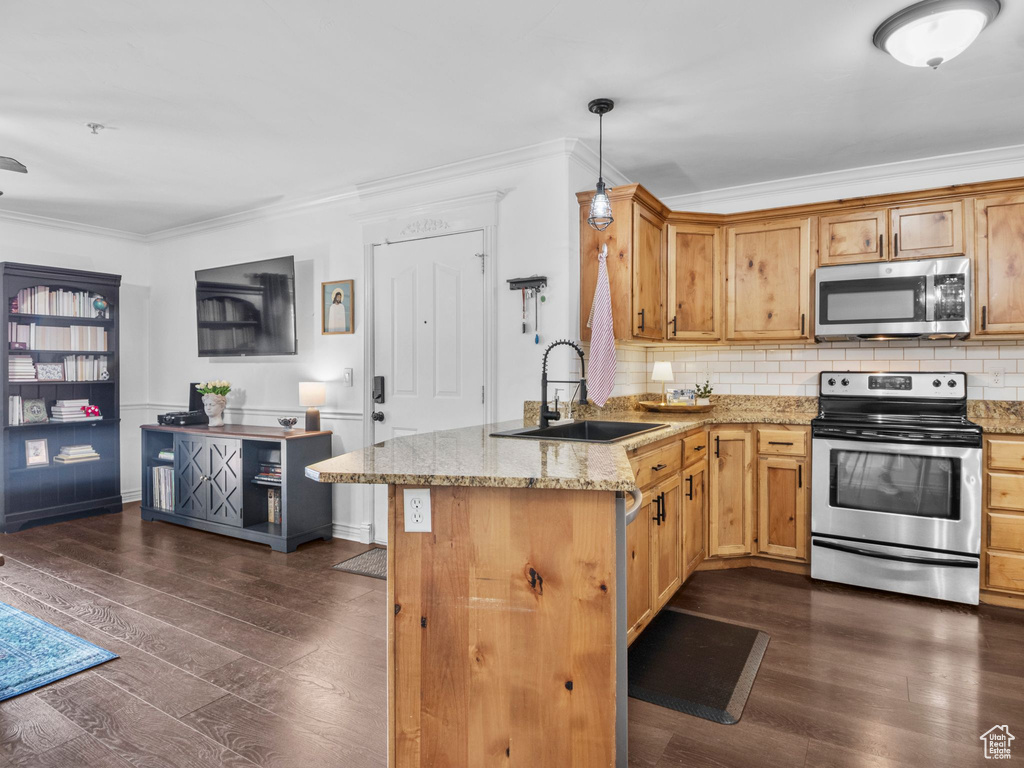 Kitchen featuring stainless steel appliances, a sink, dark wood-style floors, a peninsula, and backsplash