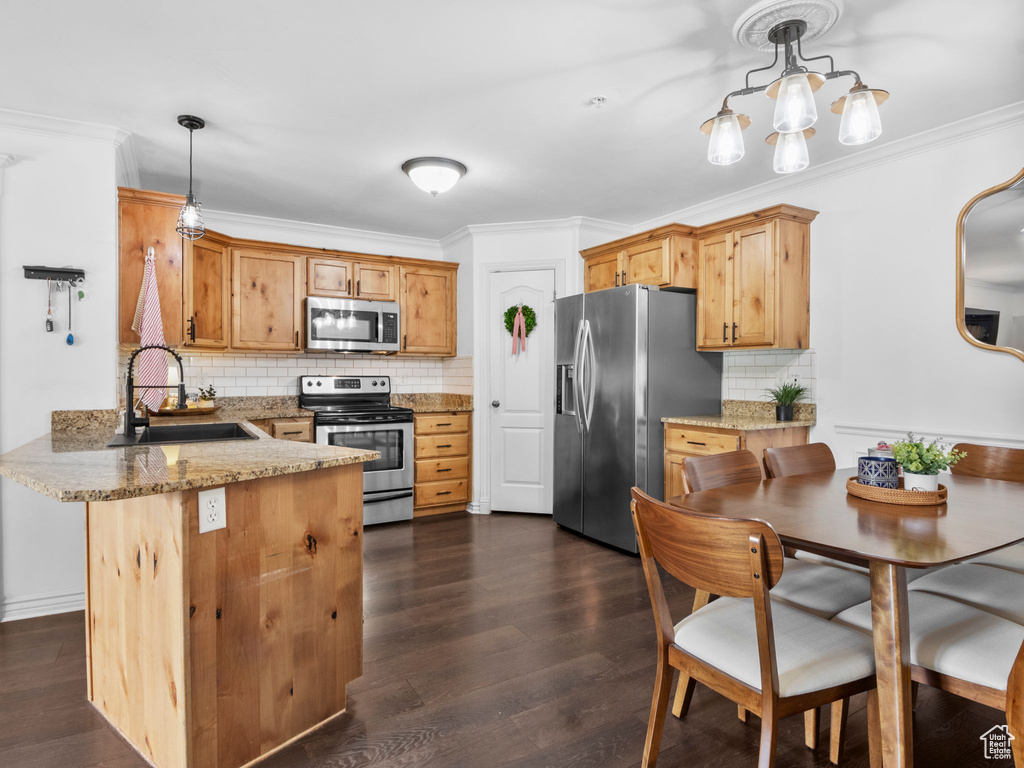 Kitchen featuring appliances with stainless steel finishes, a sink, a peninsula, backsplash, and dark wood-type flooring