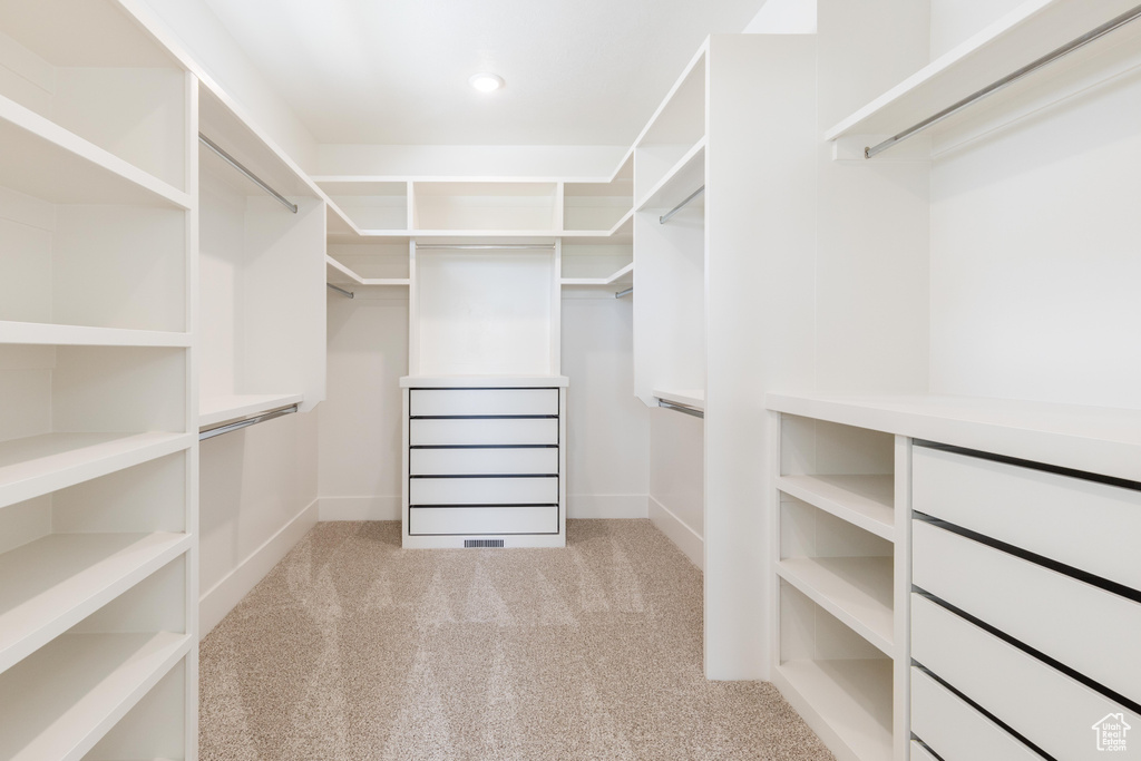Spacious closet featuring carpet floors