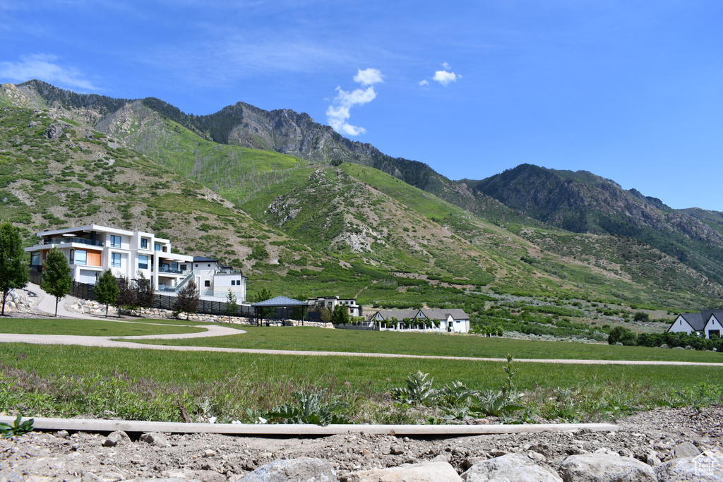 Mountain view