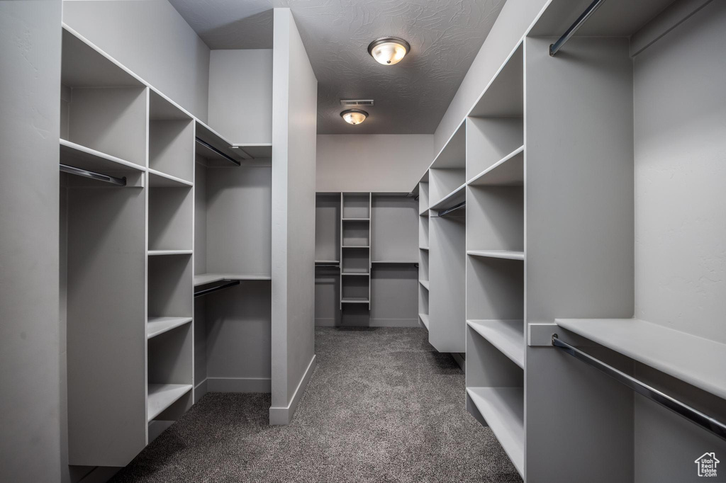 Walk in closet with dark colored carpet