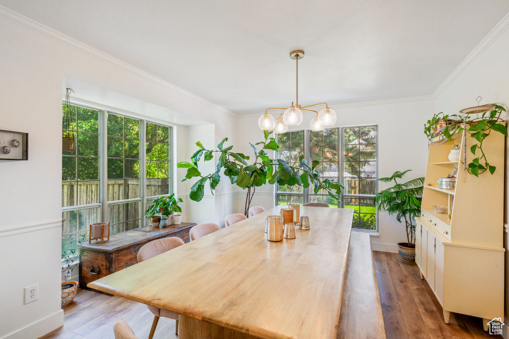 Dining area with plenty of natural light, ornamental molding, wood finished floors, a chandelier, and baseboards