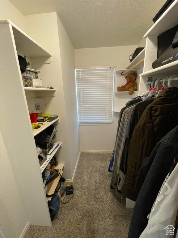 Spacious closet featuring carpet