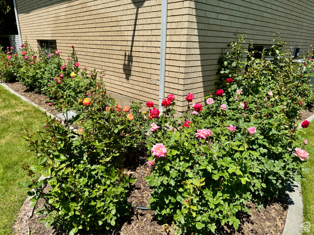 View of property exterior