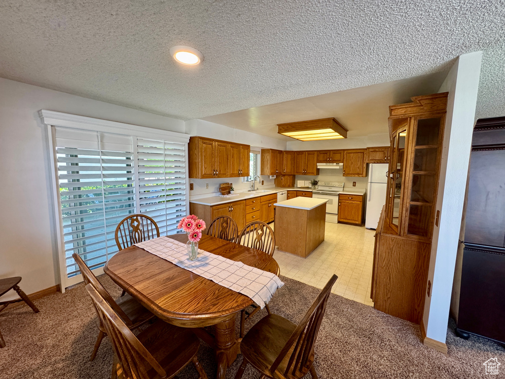 Dining space featuring light carpet, a textured ceiling, and baseboards