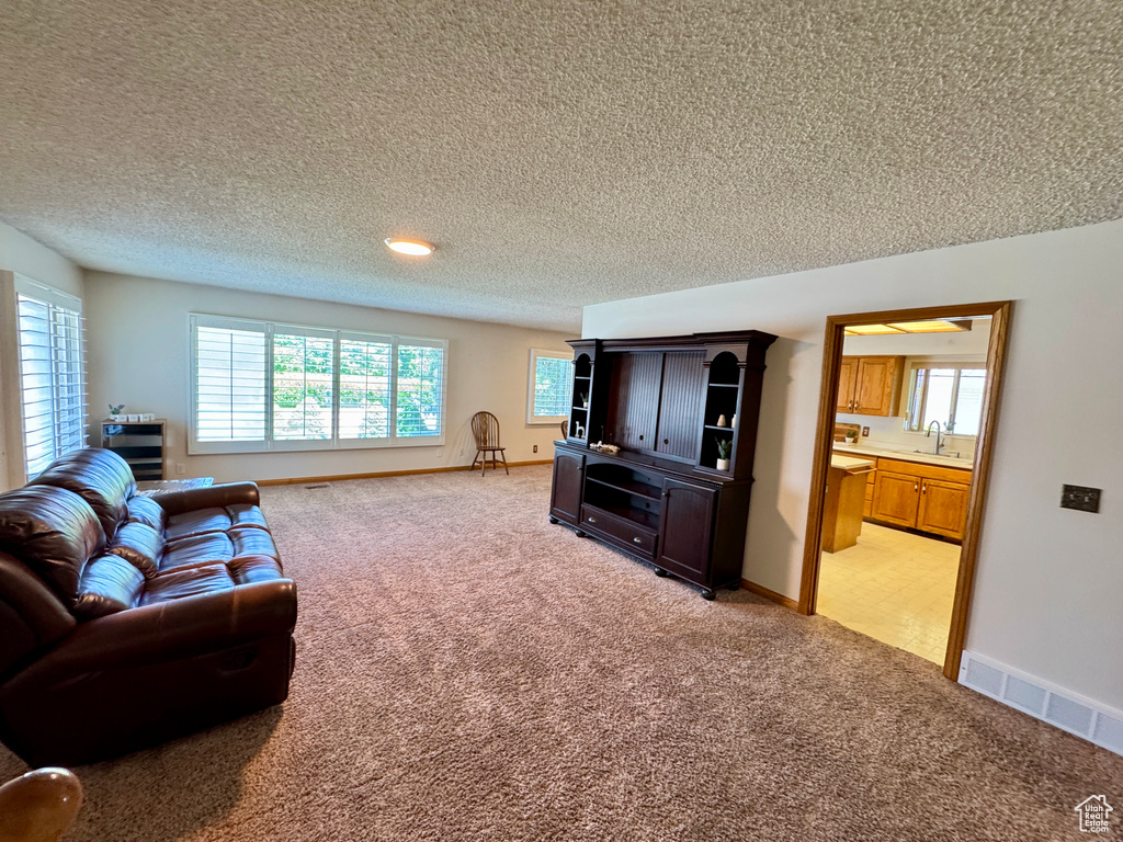 Living area with light colored carpet, a textured ceiling, and baseboards