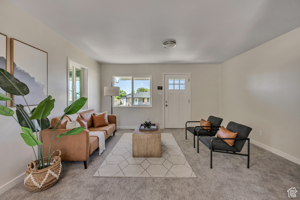 Living area featuring baseboards and light colored carpet