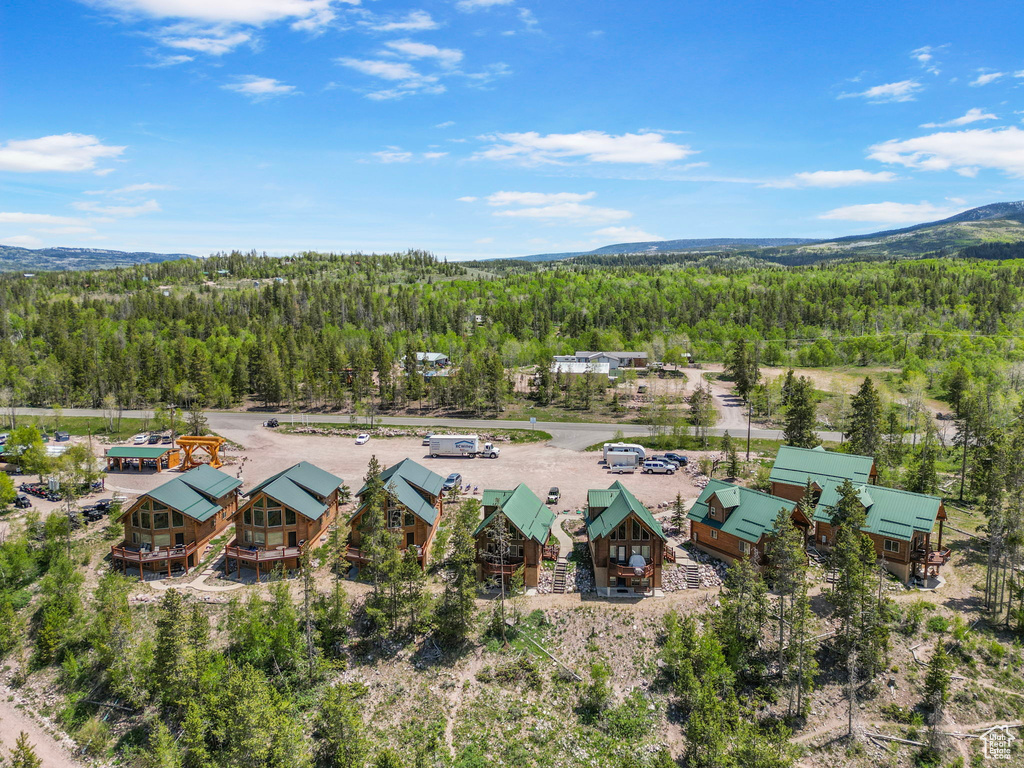 Aerial view of a heavily wooded area and a mountain backdrop