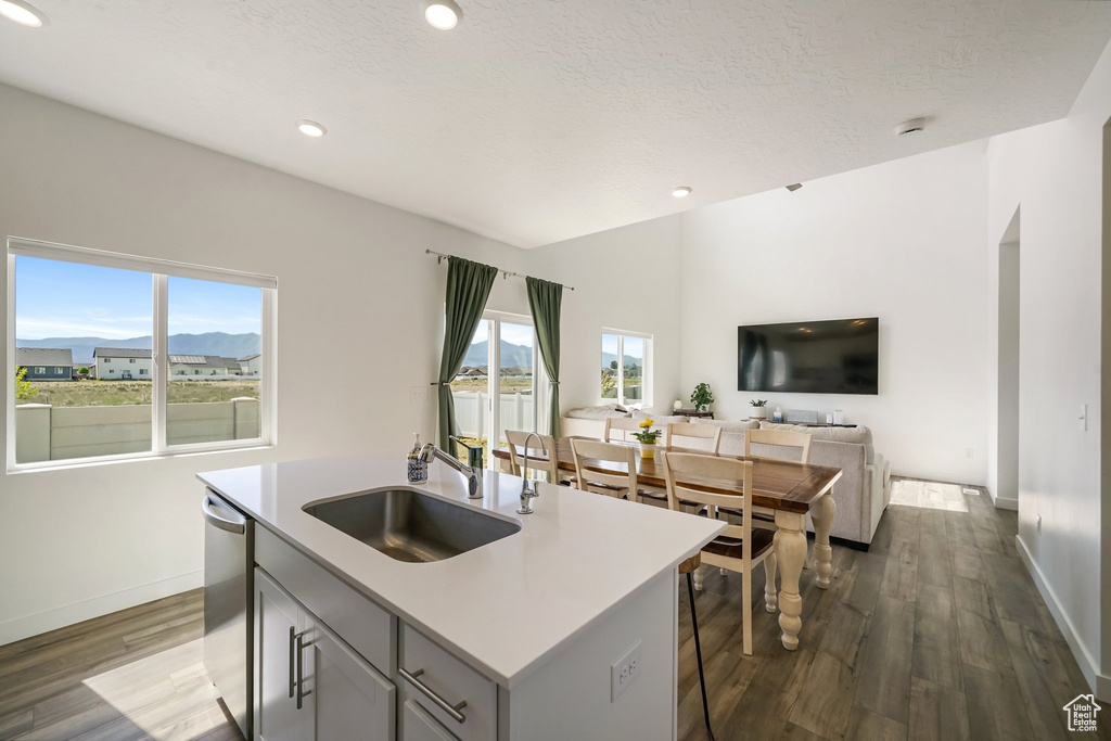 Kitchen featuring a sink, stainless steel dishwasher, dark wood-style floors, baseboards, and a center island with sink