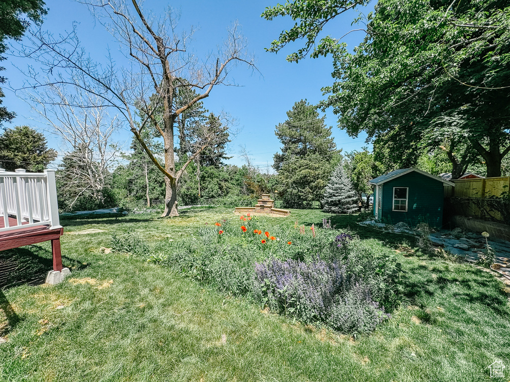 View of grassy yard