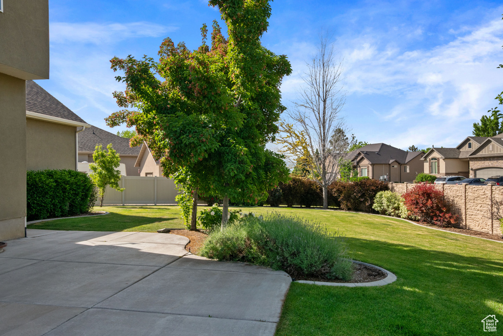 View of yard with a residential view and a patio area